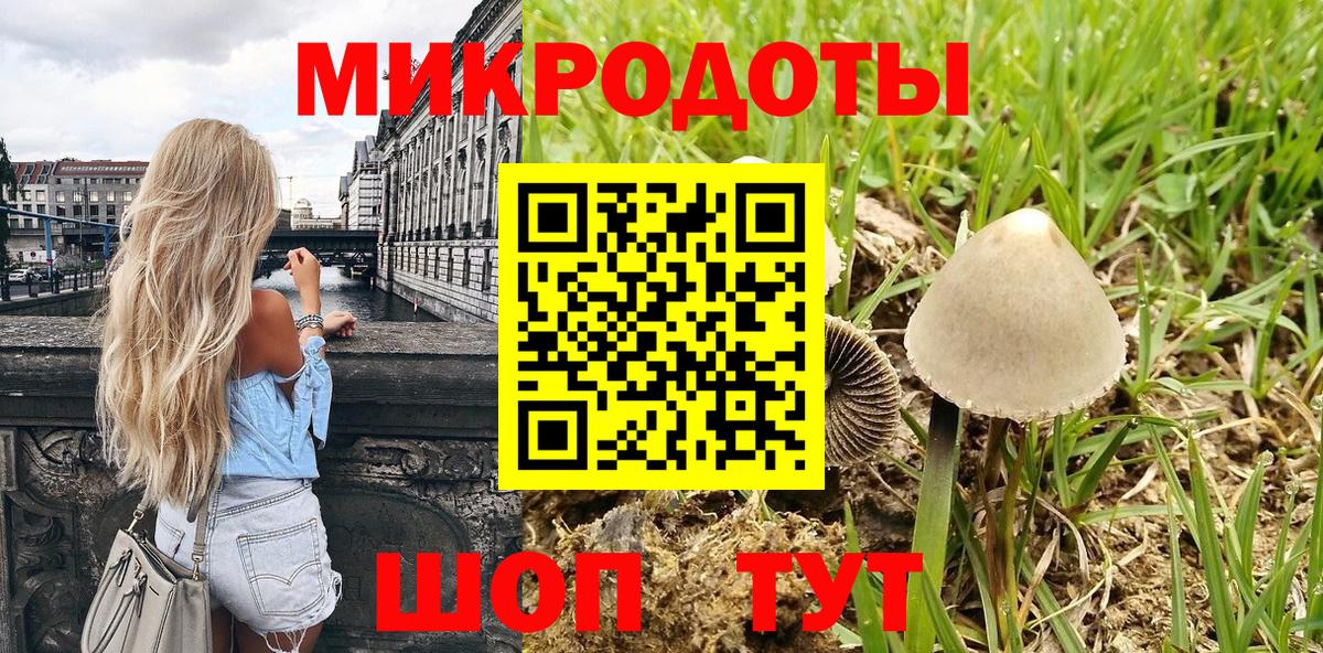 Галлюциногенные грибы Psilocybine cubensis  Вход с VPN  Саранск 