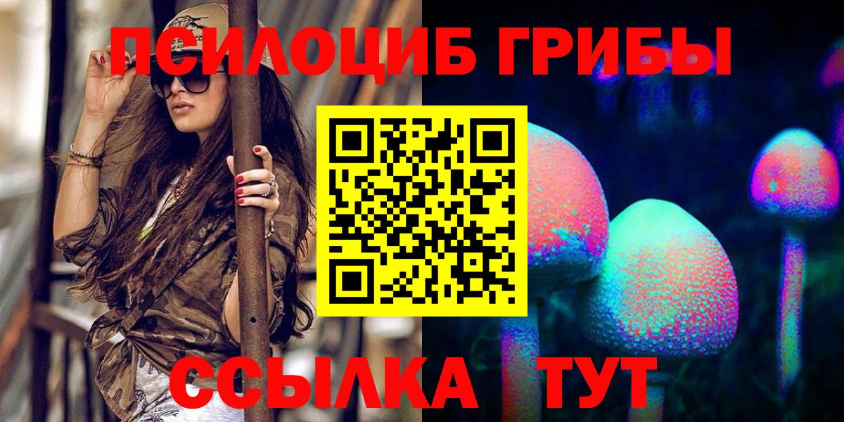 Псилоцибиновые грибы Cubensis Саранск