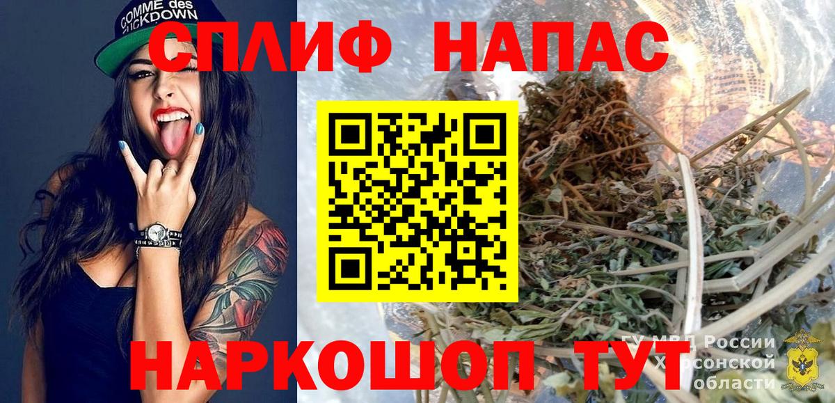 Каннабис индика Саранск